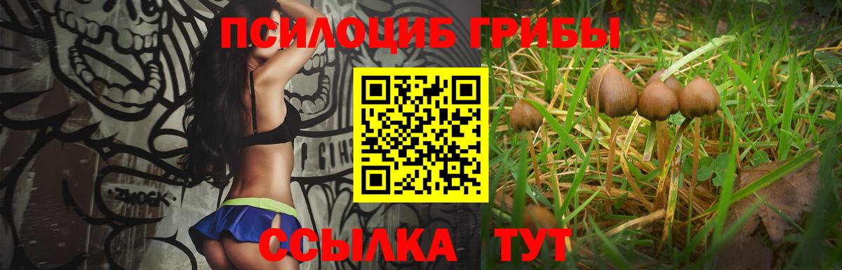 Ликино-Дулёво  Галлюциногенные грибы Psilocybe  Вход с VPN 